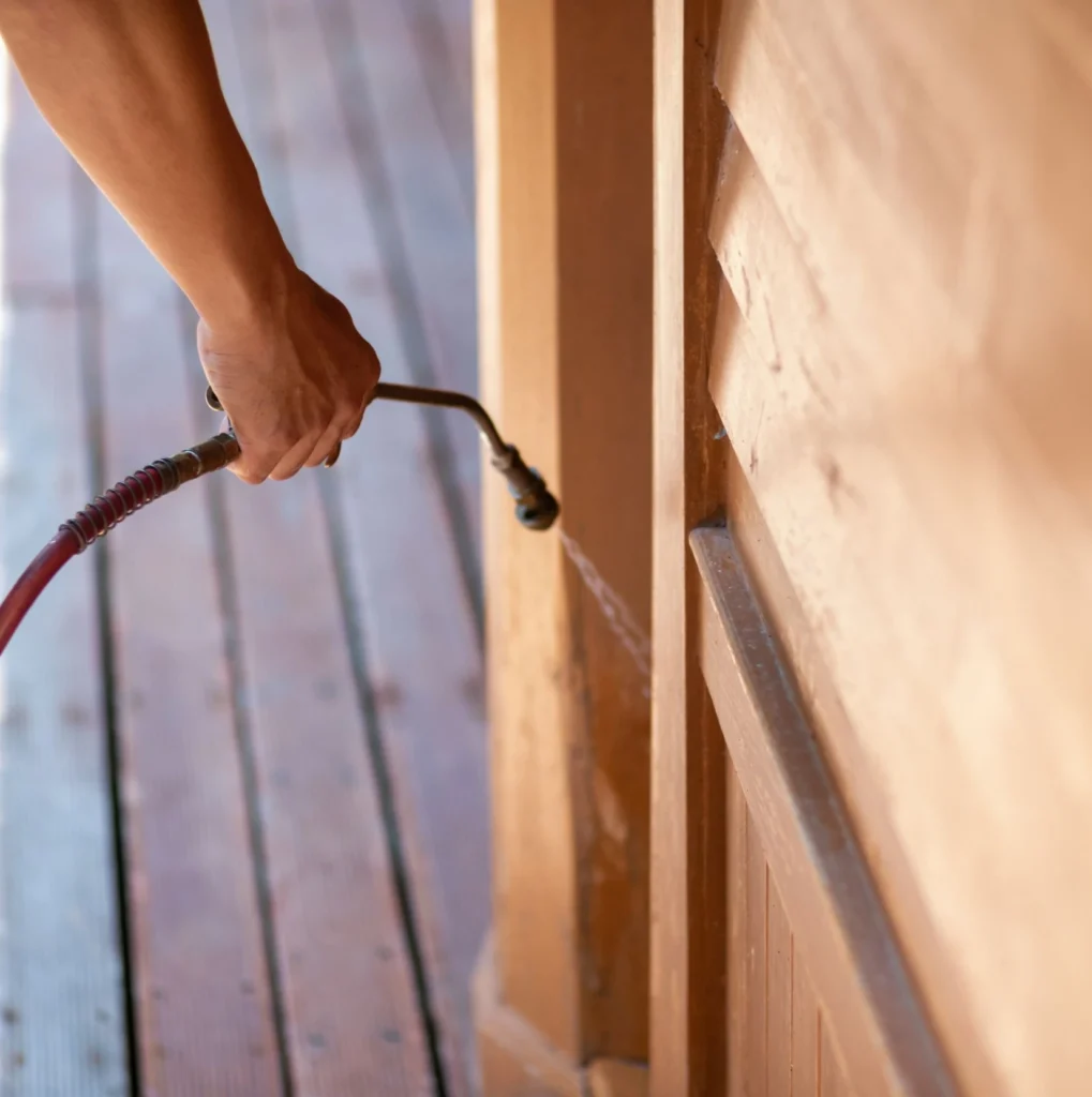 Trusted Pest Control - North Chili Pest Control Pros | North Chili, NY | 585-632-6992